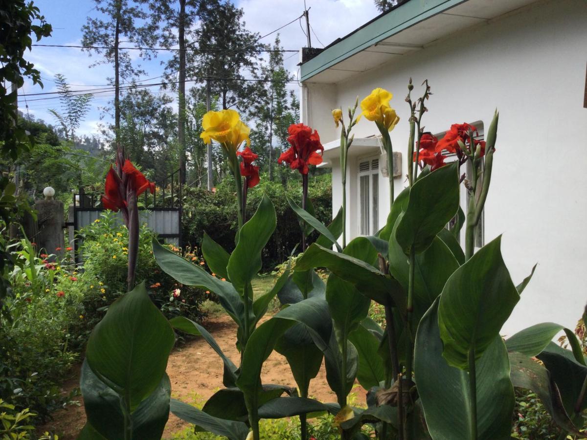 Ella Relax Inn Экстерьер фото